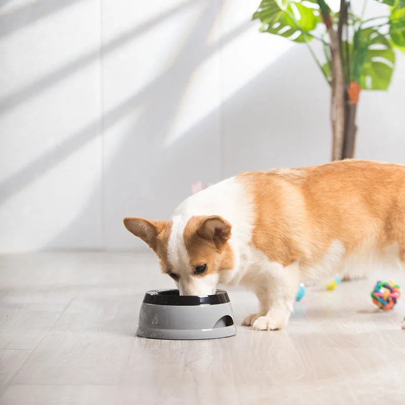Floating Pet Dog and Cat Bowls