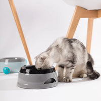 Floating Pet Dog and Cat Bowls