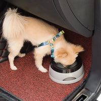 Floating Pet Dog and Cat Bowls