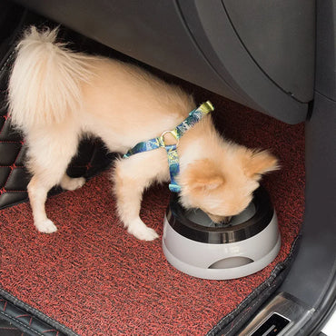 Floating Pet Dog and Cat Bowls